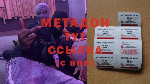 прущие грибы Абаза