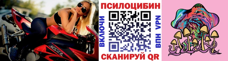 Псилоцибиновые грибы Psilocybe Моршанск