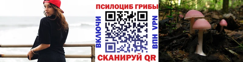 Галлюциногенные грибы GOLDEN TEACHER  даркнет сайт  Моршанск 