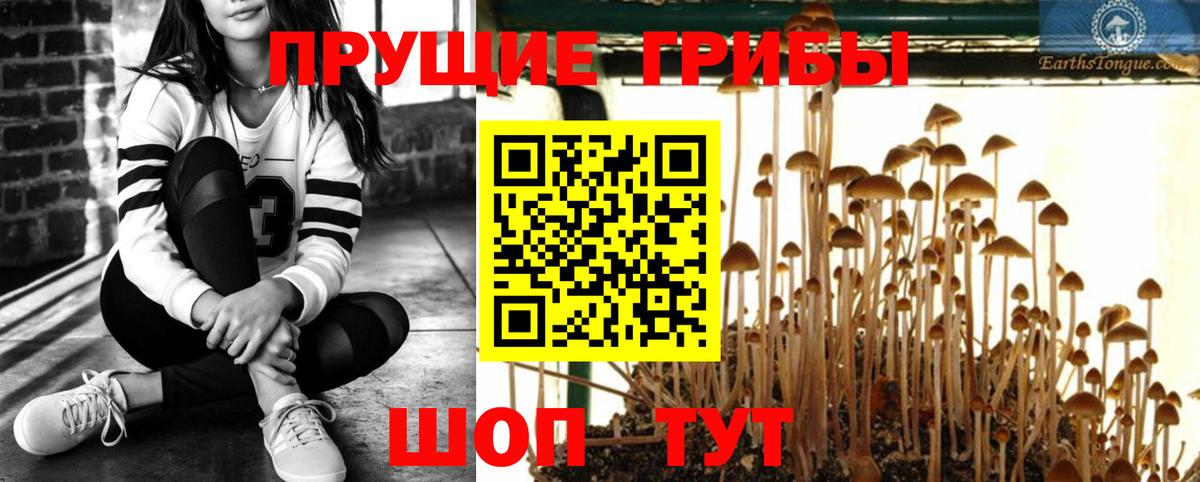 Псилоцибиновые грибы Magic Shrooms Моршанск